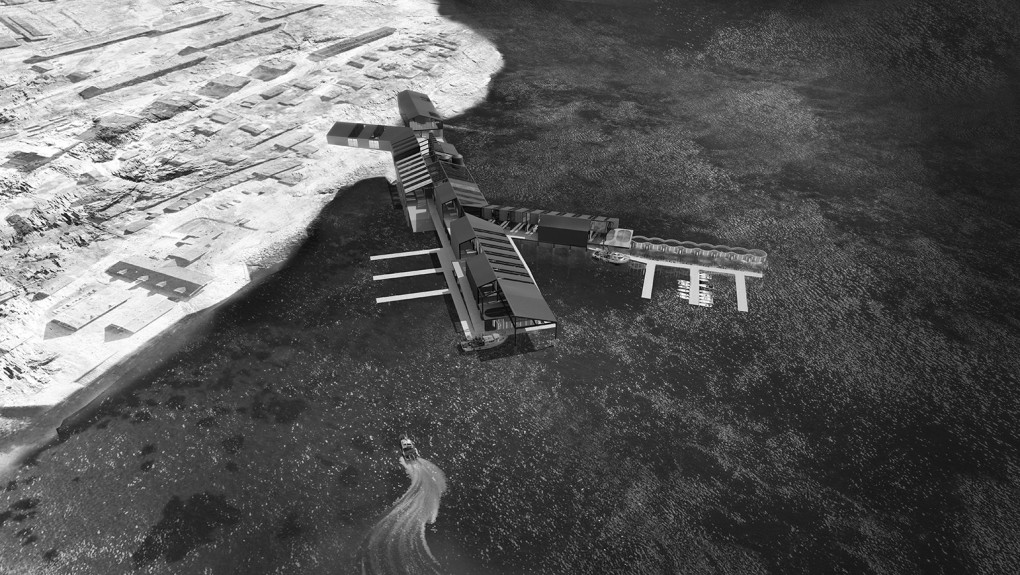 aerial_BW