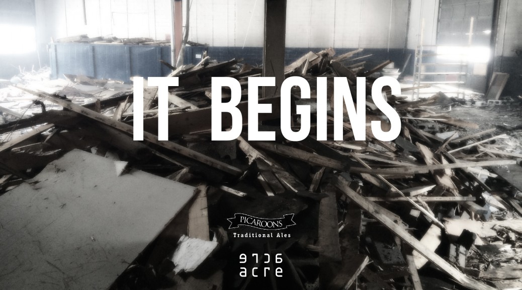 IT BEGINS_PICAROONS-01