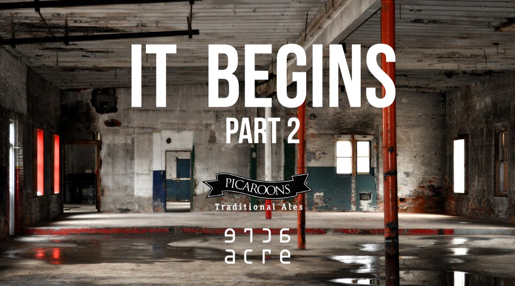 IT BEGINS_PICAROONSp2-01